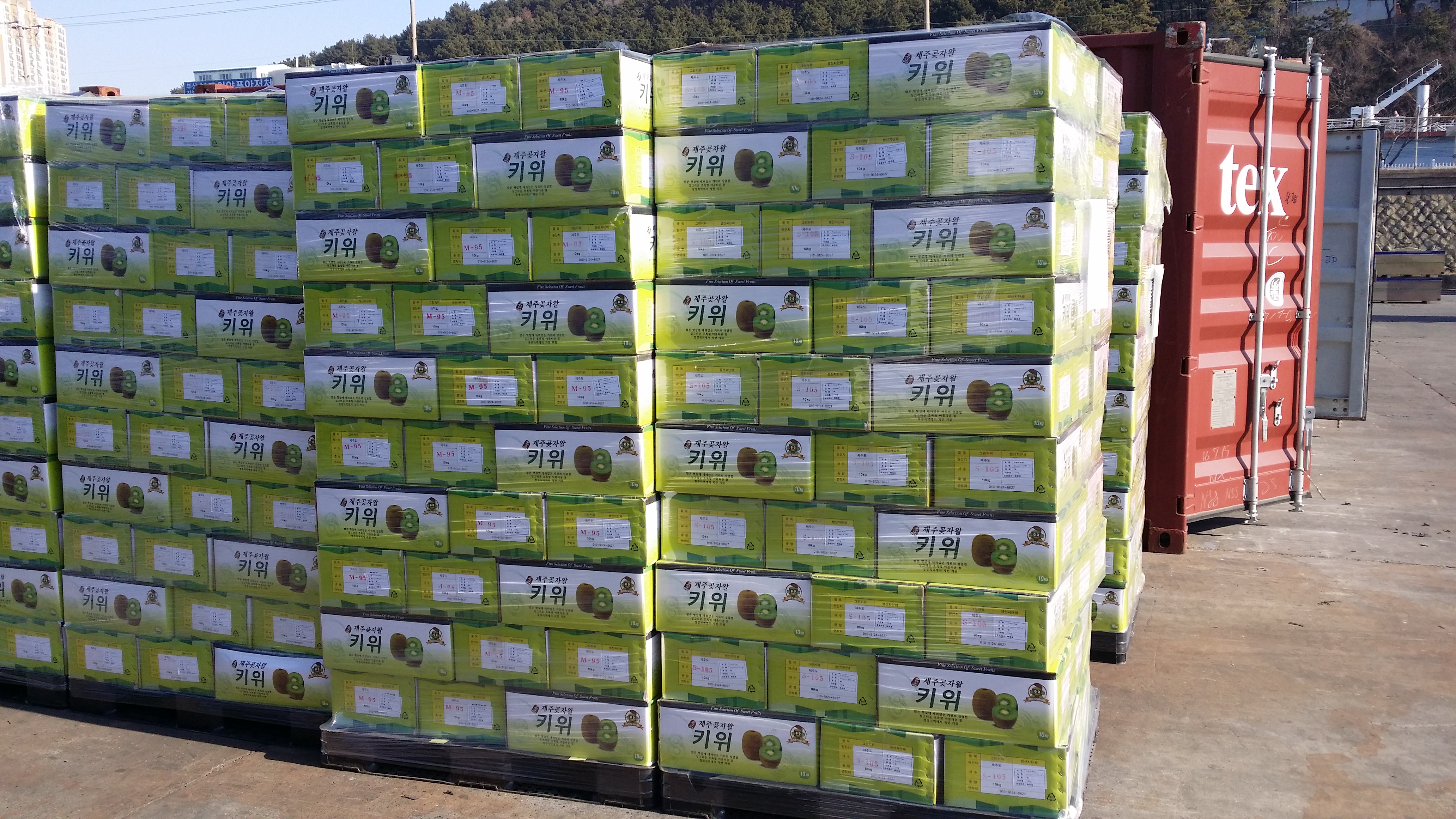 The Kiwi to Japan for export under the inspection of quarantine 