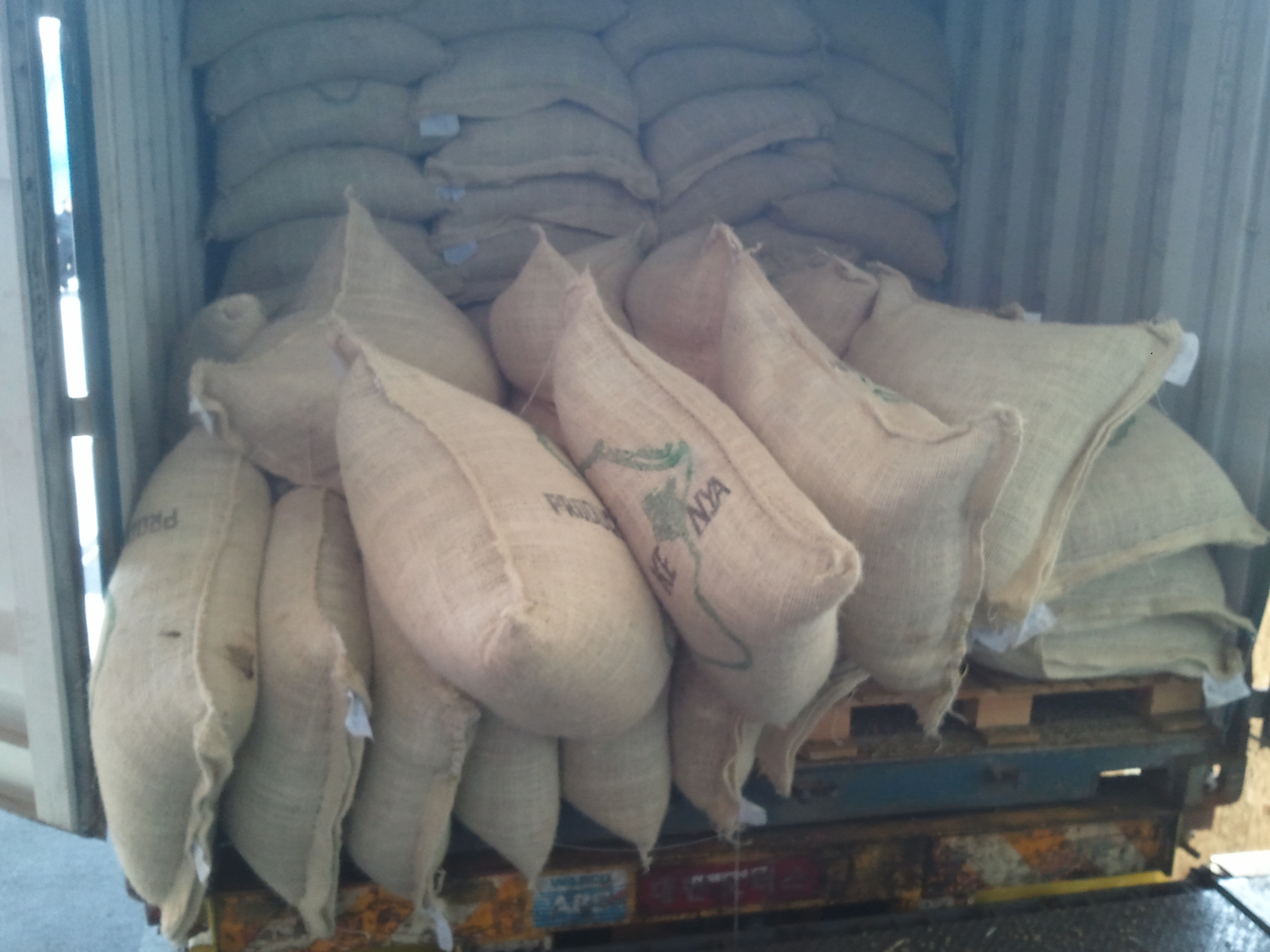The green bean from Brazil for import 